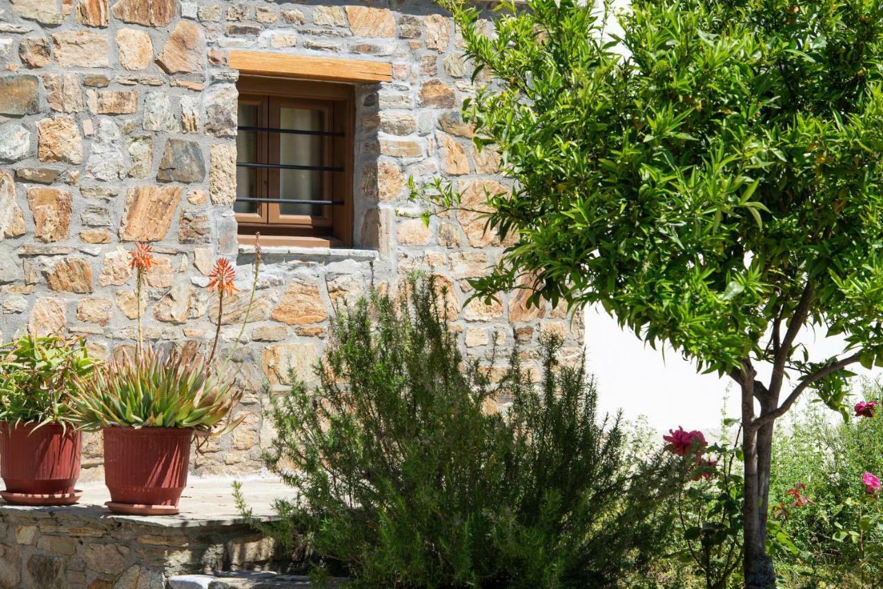 Garden House Psarogiannis Daire Vourvourou Dış mekan fotoğraf